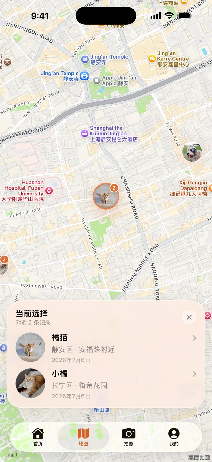 灵迹地图界面：地图上的动物标记，下方是当前选择的附近记录（含高德地图版权标识）