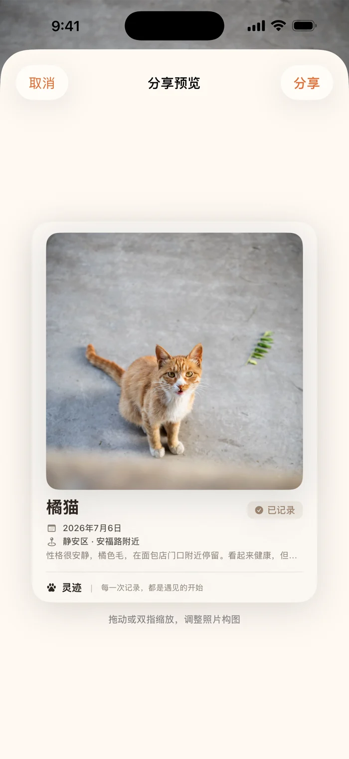 灵迹分享预览界面：橘猫记录卡片与分享按钮